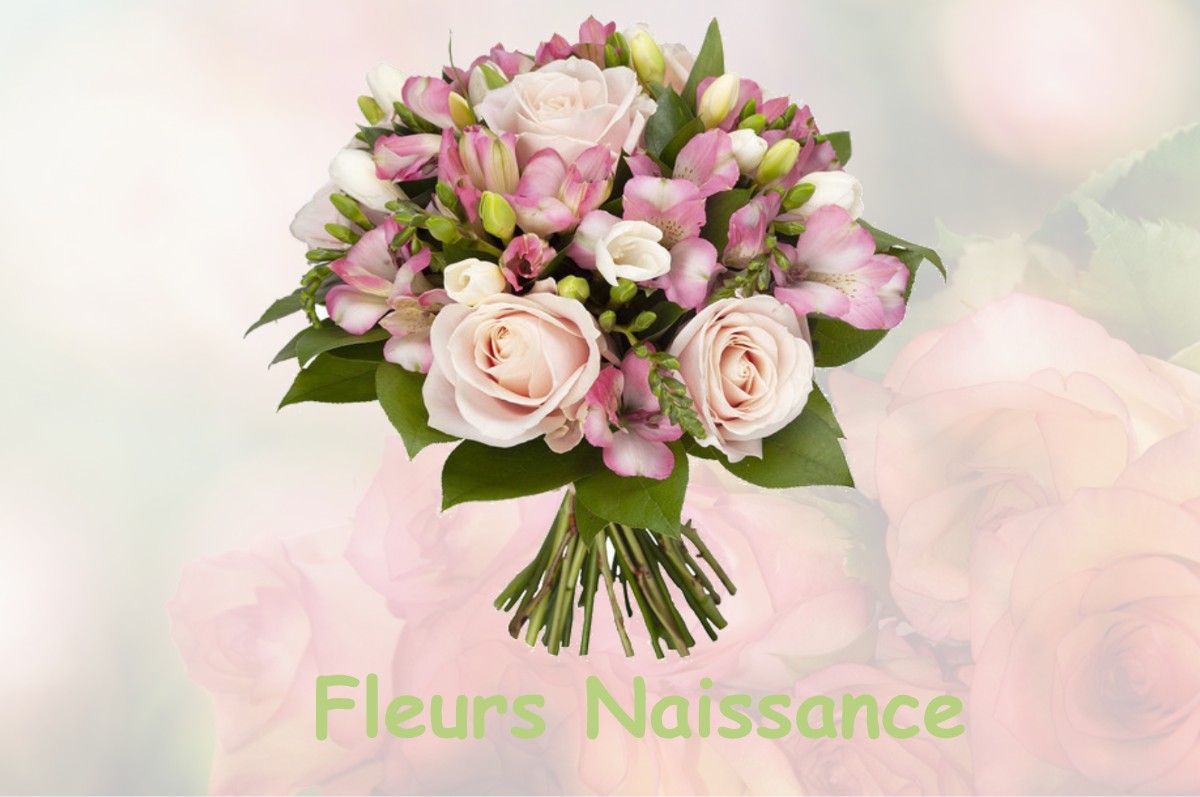 fleurs naissance MELLES