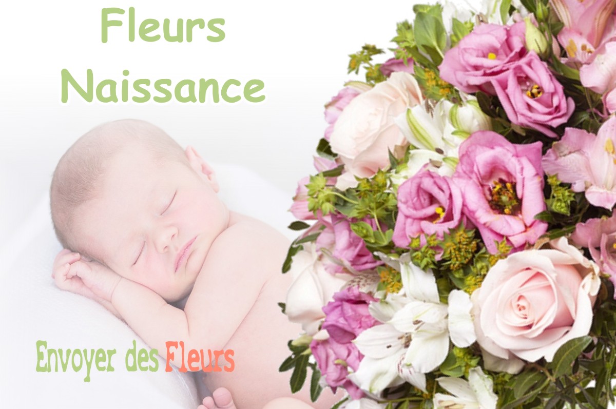 lIVRAISON FLEURS NAISSANCE à MELLES